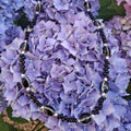 Collier Africa Noir